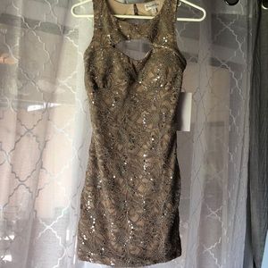 Taupe/silver Cocktail Dress